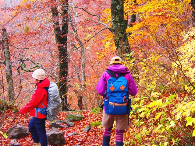 紅葉登山イメージ