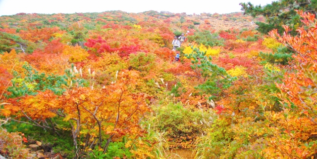 紅葉登山イメージ